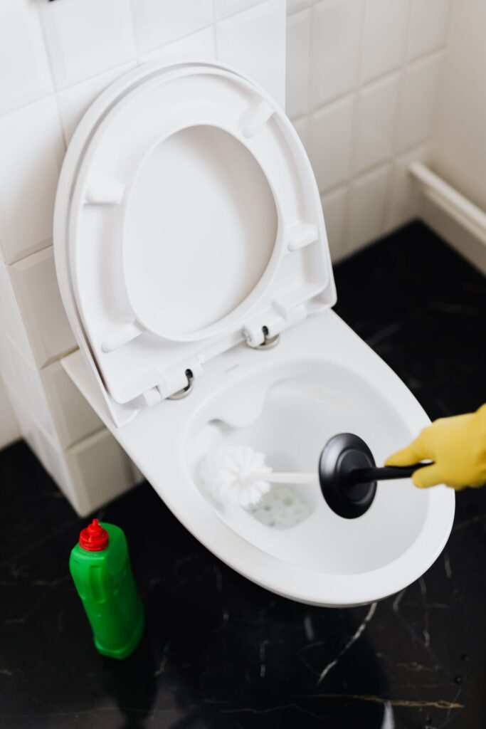 DIY Solutions for Eliminating Drain Flies​ - Drain Cleaning Pros Staten Island